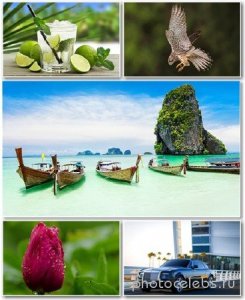  Best HD Wallpapers Pack 1369 