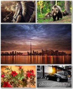  Best HD Wallpapers Pack 1372 