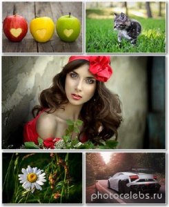  Best HD Wallpapers Pack 1375 