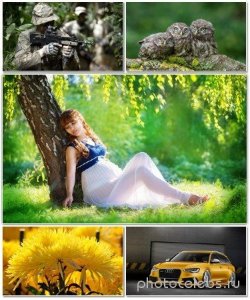  Best HD Wallpapers Pack 1379 