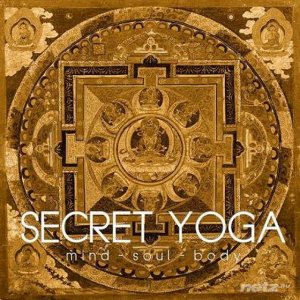  VA - Secret Yoga (2014) 
