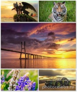  Best HD Wallpapers Pack 1381 