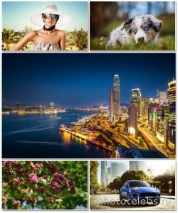 Best HD Wallpapers Pack 1383 