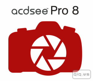  ACDsee Pro 8.0.262 (86/x64) + Rus 