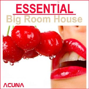  Essential Big Room House (2014) 