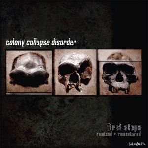  Colony Collapse Disorder - First Steps (2014) 