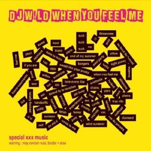  DJ W!LD - When You Feel Me (2014) 