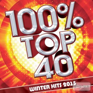  100% Top 40 Winter Hits 2015 (2015) 
