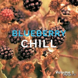  Blueberry Chill Vol 1 Fruity Chill out and Lounge Beats (2015) 