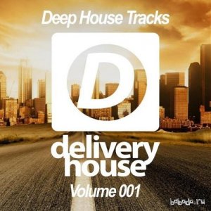  Deep House Tracks Volume 001 (2015) 