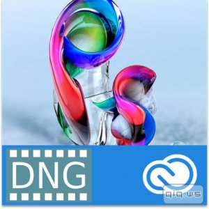  Adobe DNG Converter 9.0 Final 