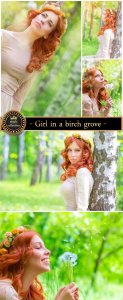  Girl in a birch grove - Stock Photo 
