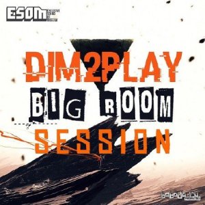  DIM2PLAY - Bigroom Session Level 4 (2015) 