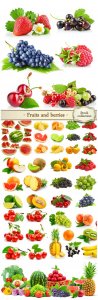  Fruits and berries - Stock photo collection 