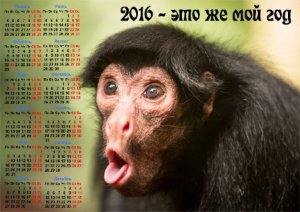  Календарь настенный - Год обезьяны 