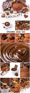  Chocolate, cacao, nuts 