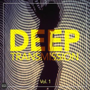  Deep Transmission, Vol. 1 (2015) 