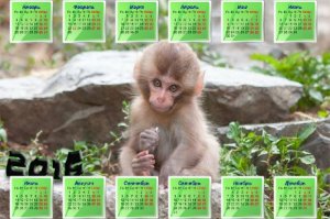  Милая обезьянка на камне - Календарная сетка 